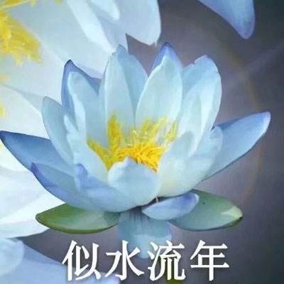 中学语文老师眼中的刘亮程作品：自然是最好的教育